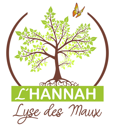 D:\telechargement\L HANNA LYSE DES MAUX 2.png
